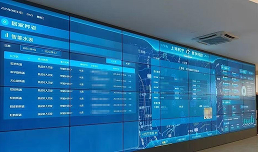 2025年为民办实事项目——为3万户特殊困难老年人家庭安装智能水表