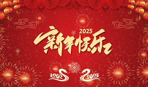 关于上海市2024年预算执行情况和2025年预算草案的报告