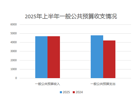 上海市2025年上半年一般公共预算收支情况