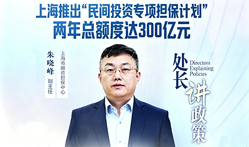 【处（科）长讲政策】上海推出“民间投资专项担保计划”，两年总额度将达300亿元