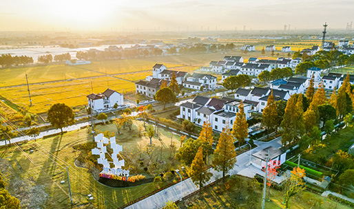 2025年为民办实事项目——统筹相关资金支持本市“美丽庭院”建设