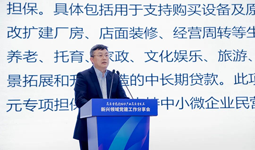 市融资担保中心参加新兴领域党建工作分享会作民间投资专项担保计划政策宣讲