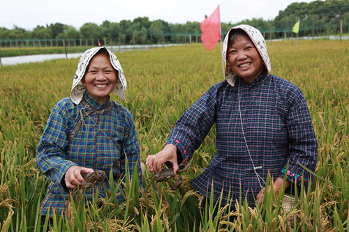 宝山财政支持美丽乡村建设