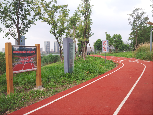 2015年本市再建53条百姓健身步道