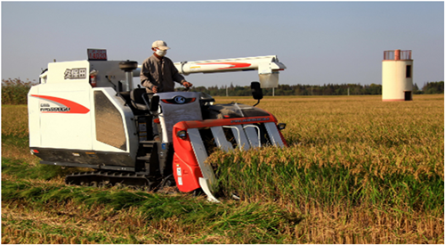 宝山财政落实强农惠农政策  支持农业“三秋”工作